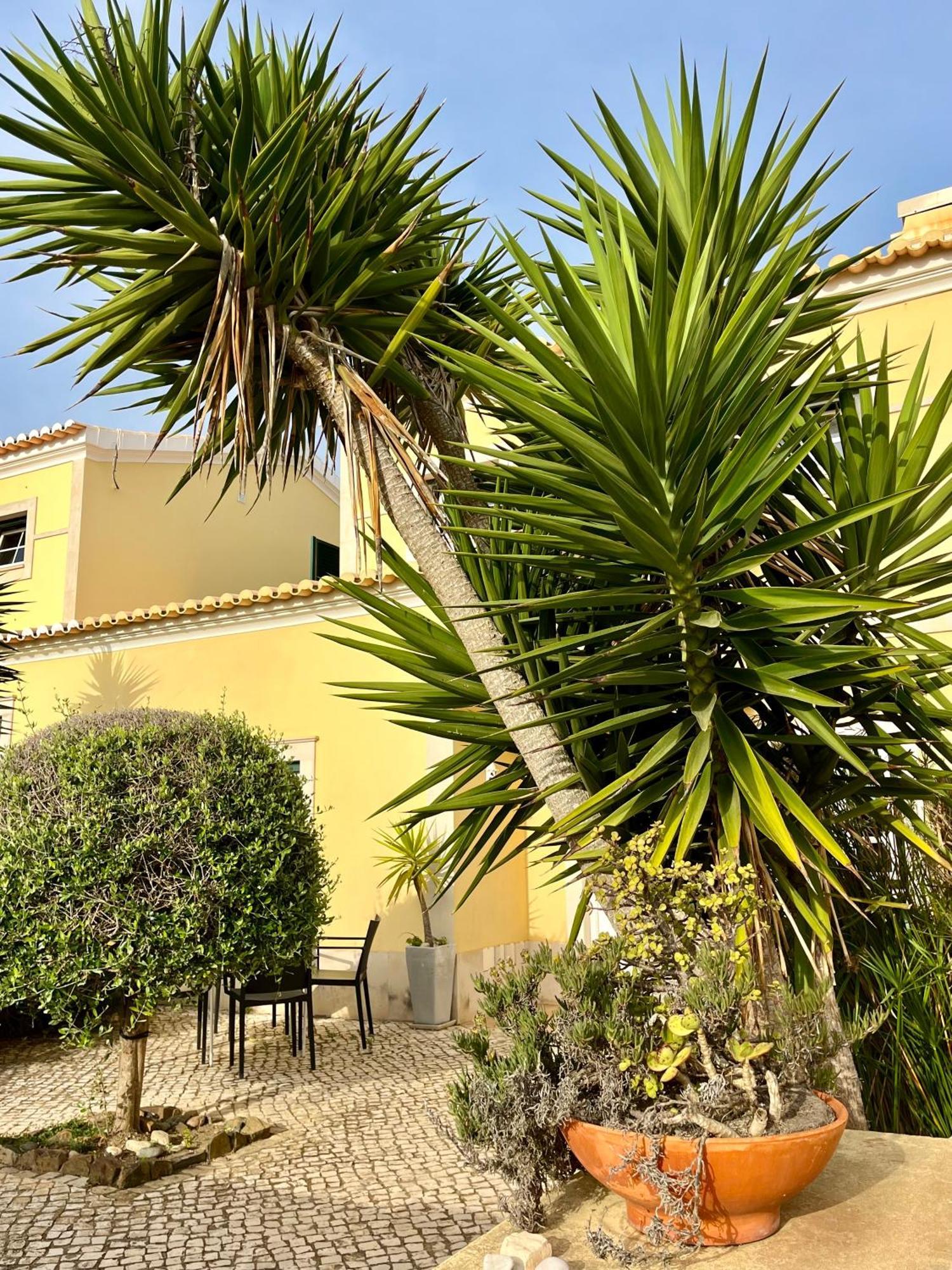 Villa Pita's House - 2 Sagres